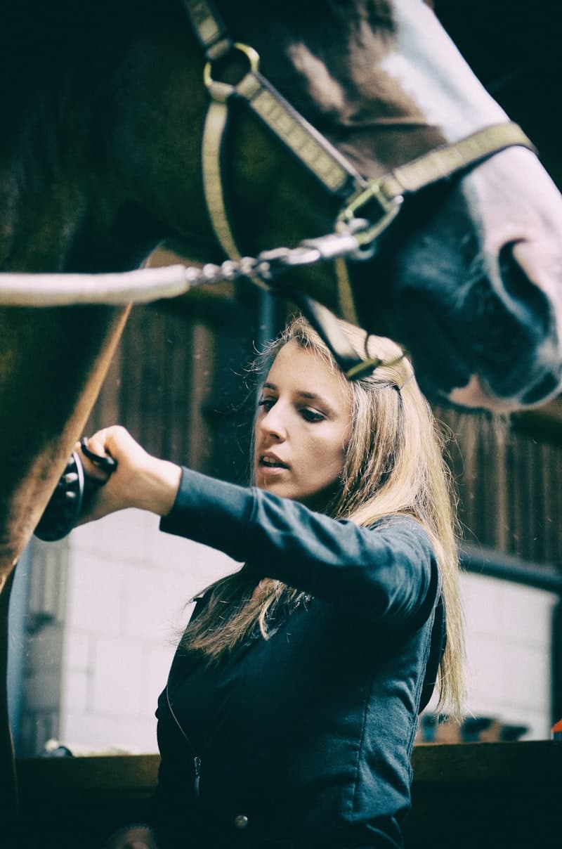 Vrouw verzorgt paard